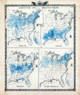 Statistics - Agricultural and Wealth by Colors Map, Wealth, Cotton, Tobacco, Dairy Products, Illinois State Atlas 1876